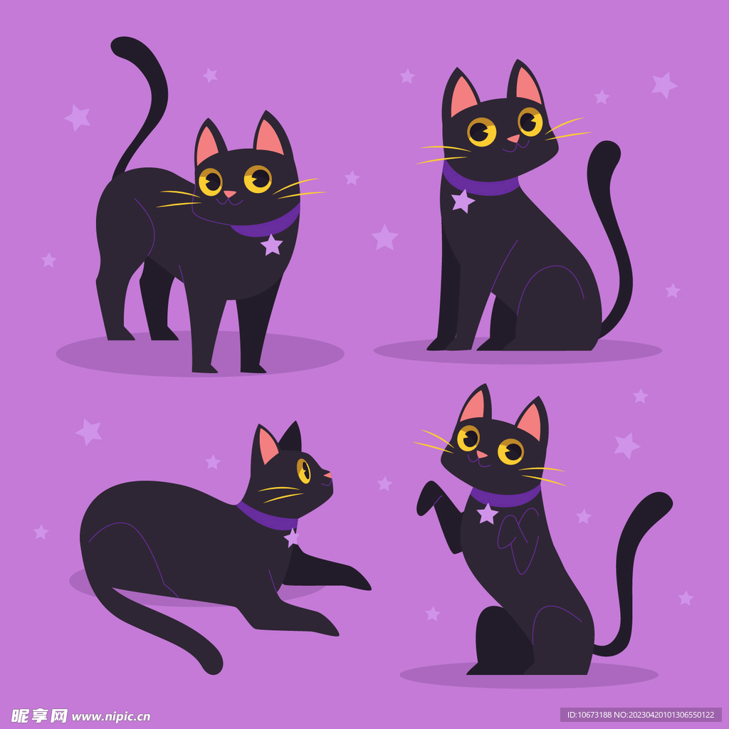 猫咪