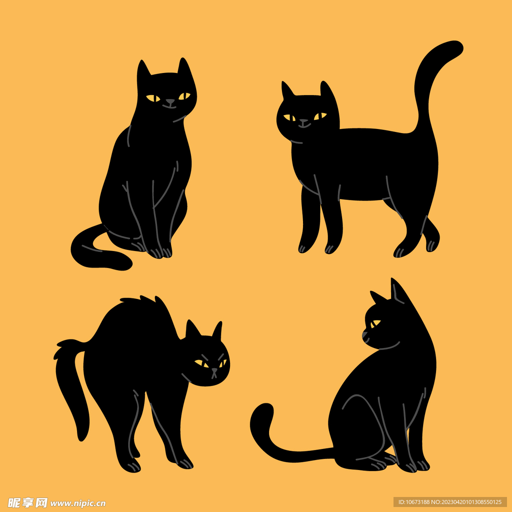 猫咪