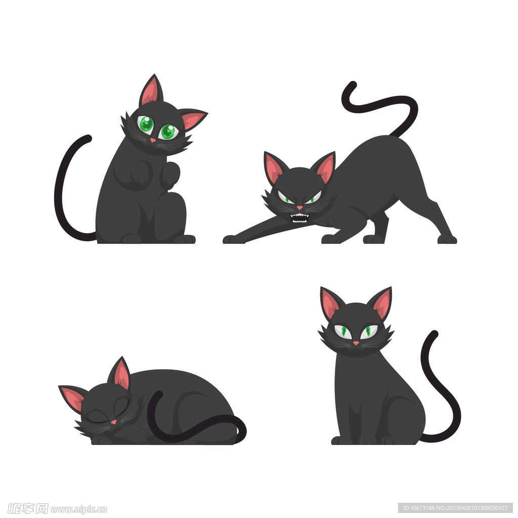 猫咪
