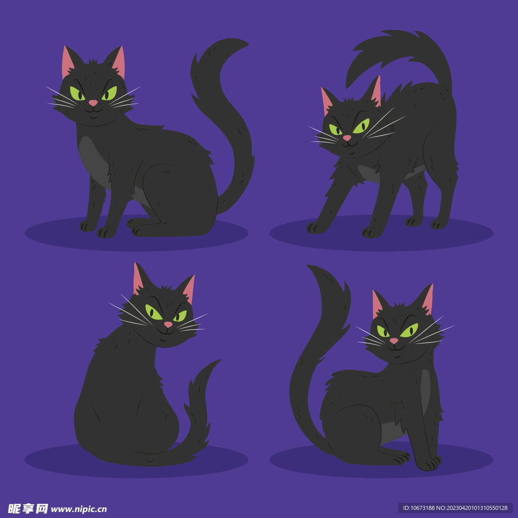 猫咪
