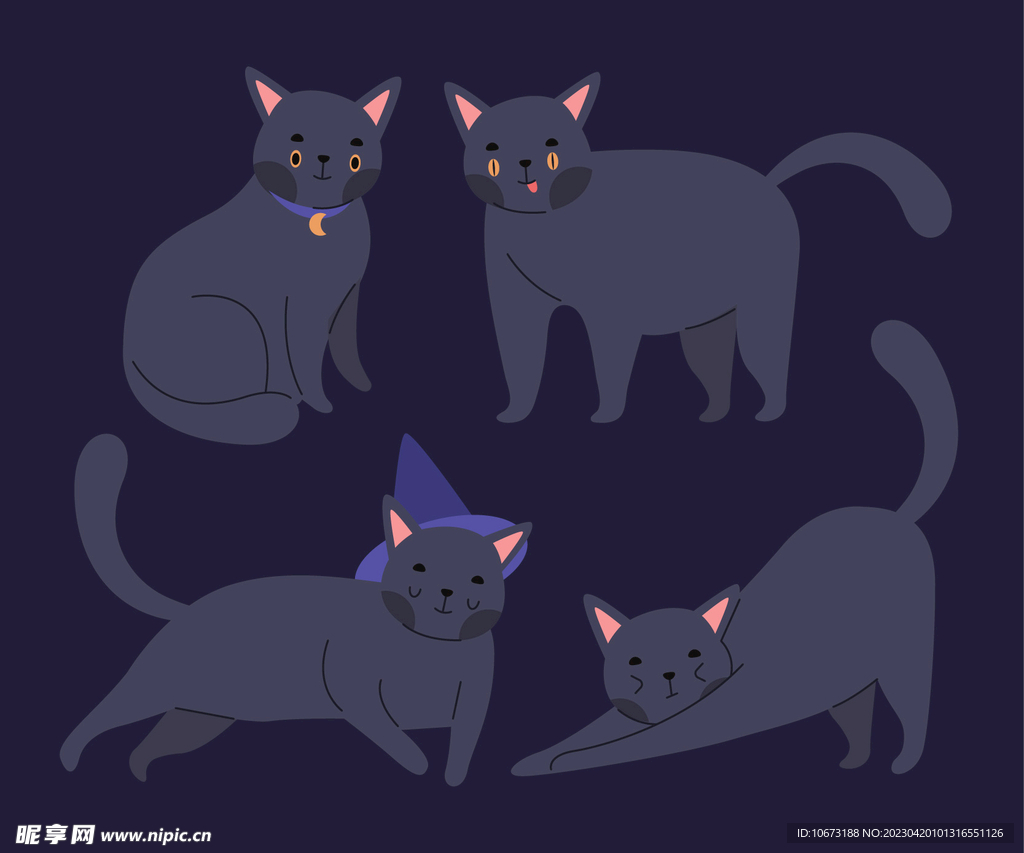 猫咪