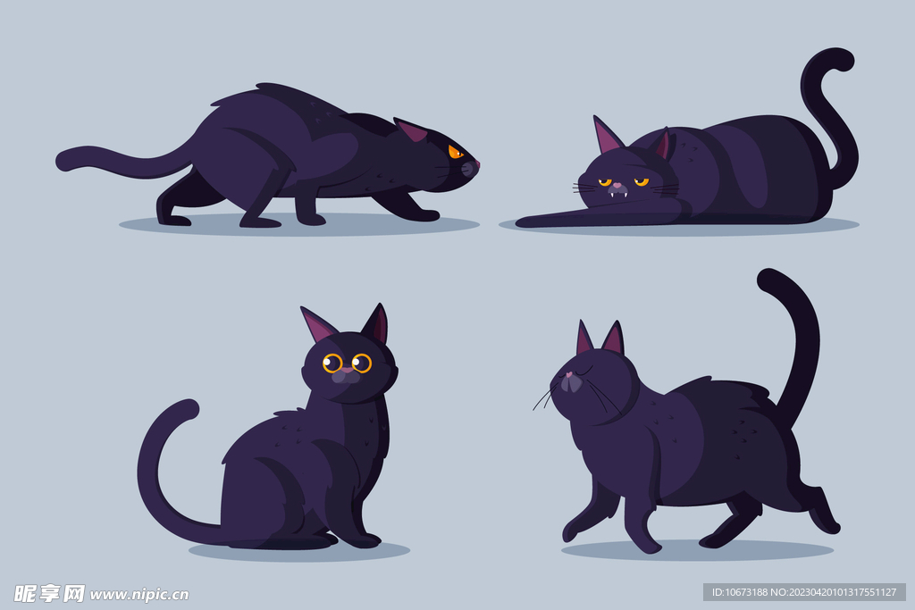 猫咪