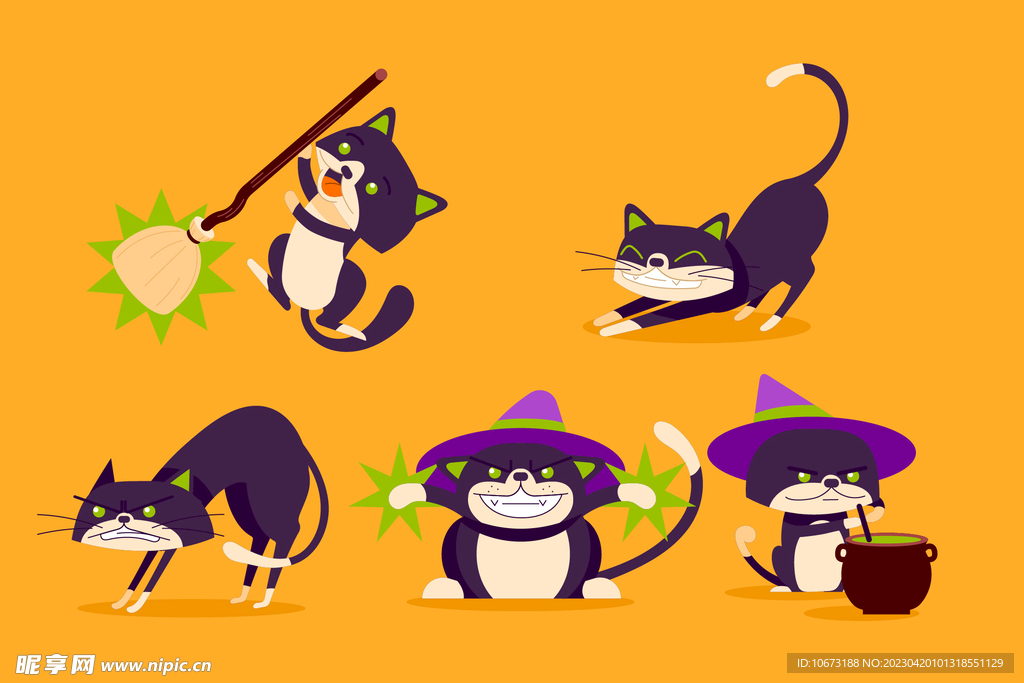 猫咪