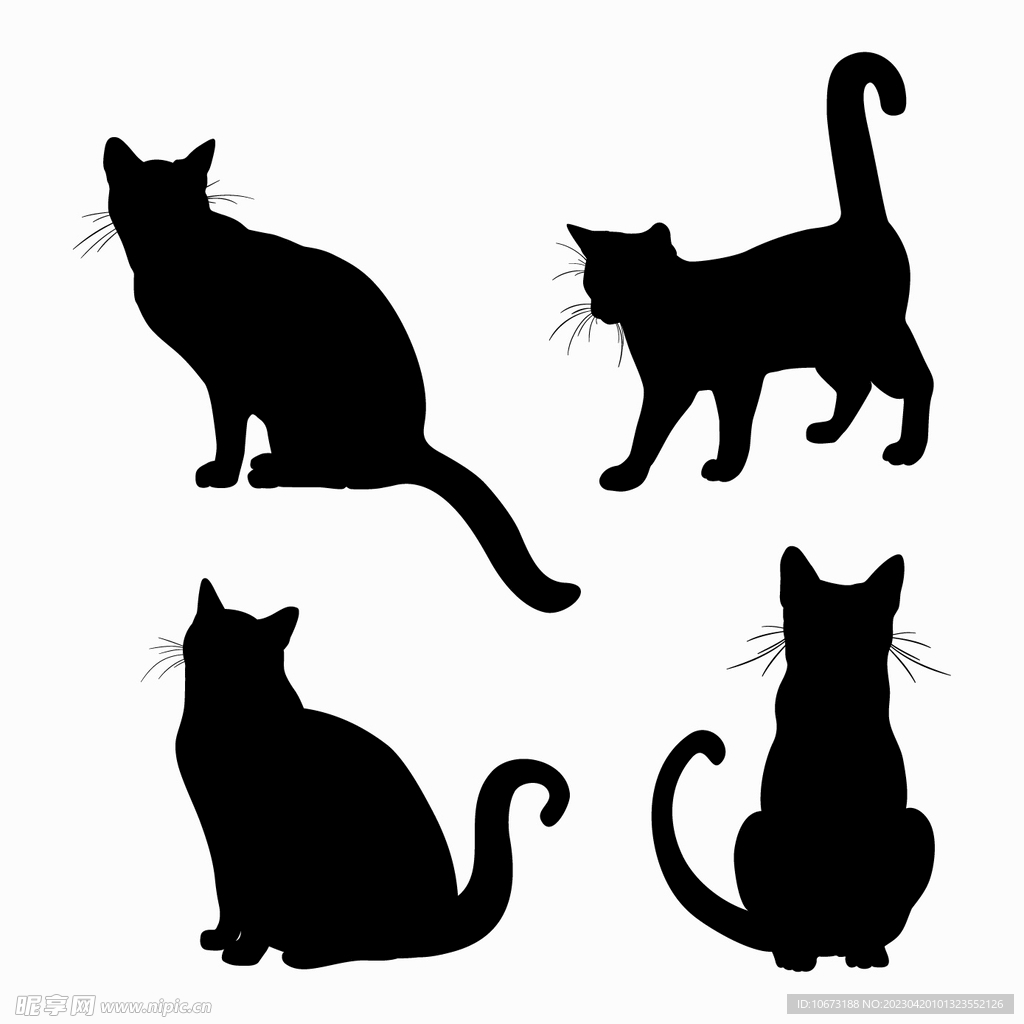 猫咪