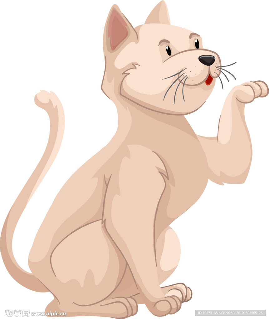 卡通猫