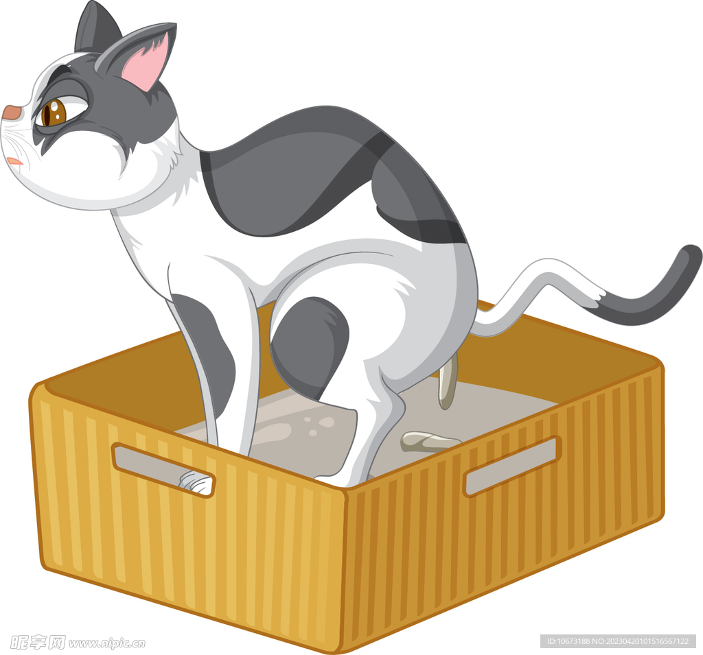 卡通猫