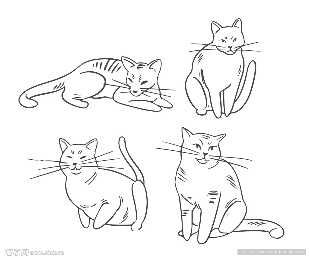 卡通猫