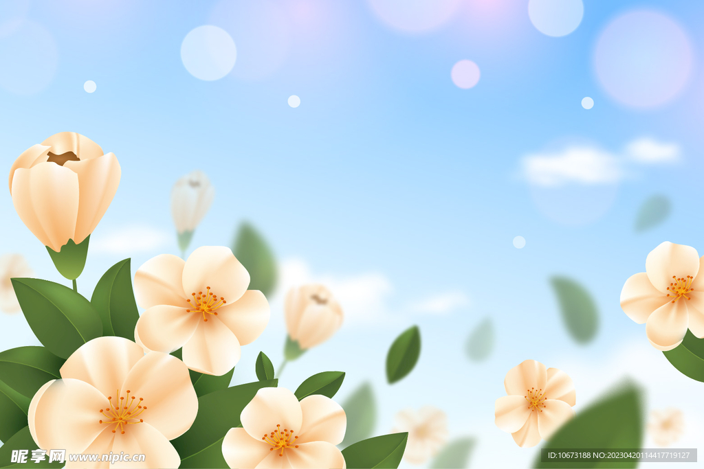花卉背景