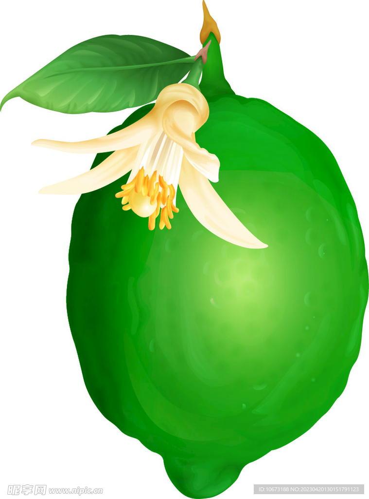 柠檬