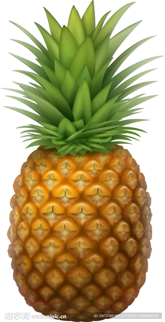 菠萝