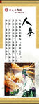 人参海报