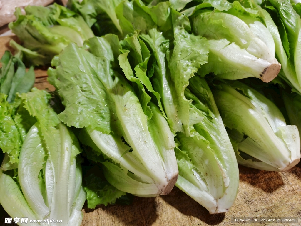 生菜