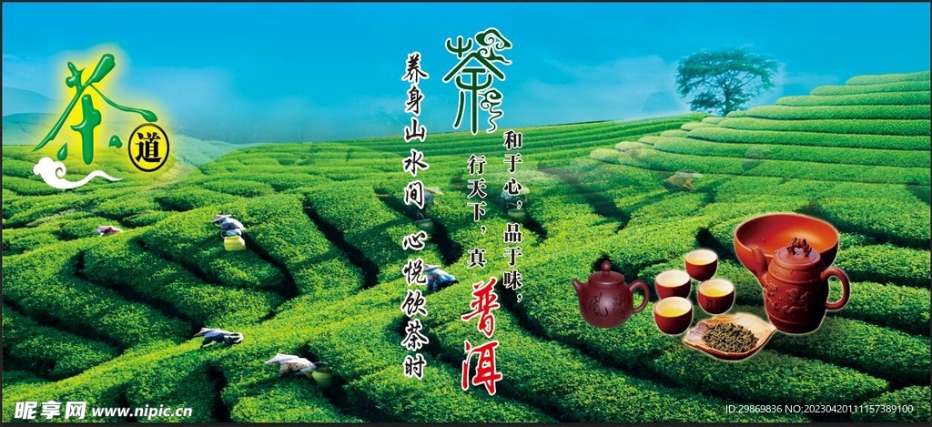 茶 灯箱布