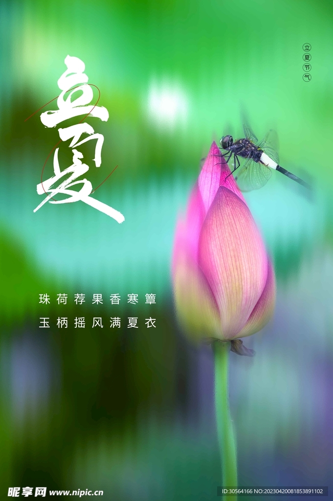 立夏