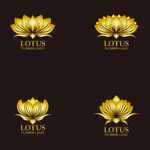 莲花logo
