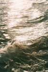 海水