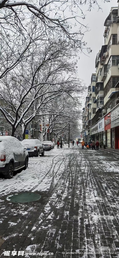 冬季冬天雪地