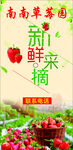 草莓园