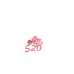 520情人节鲜花元素
