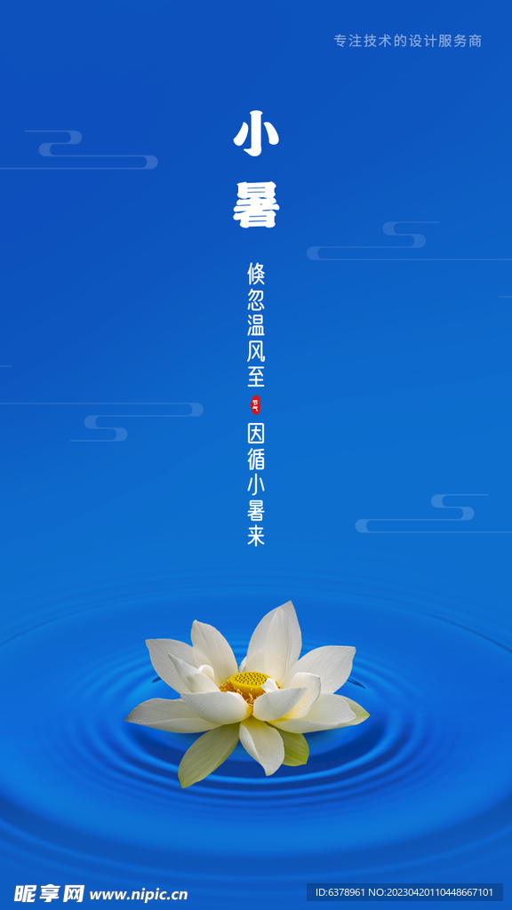 小暑海报