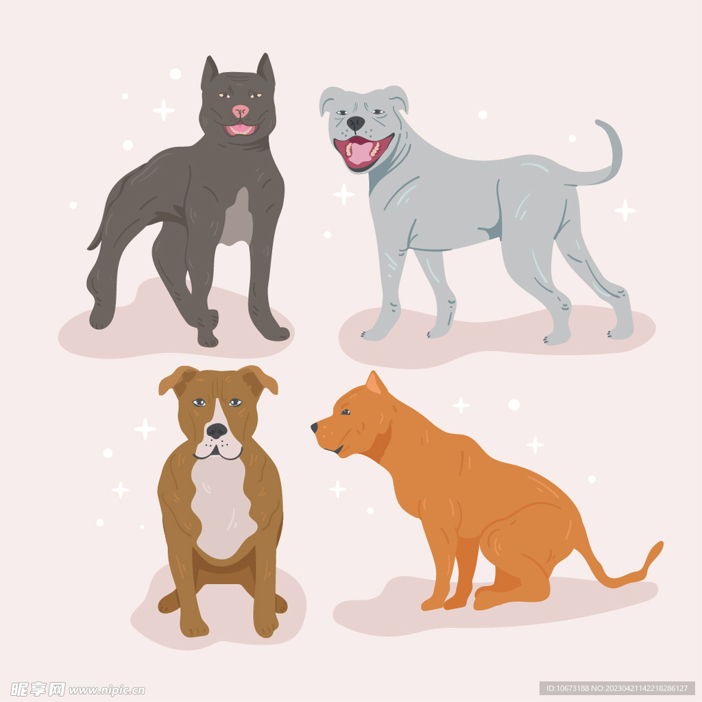 各种狗狗
