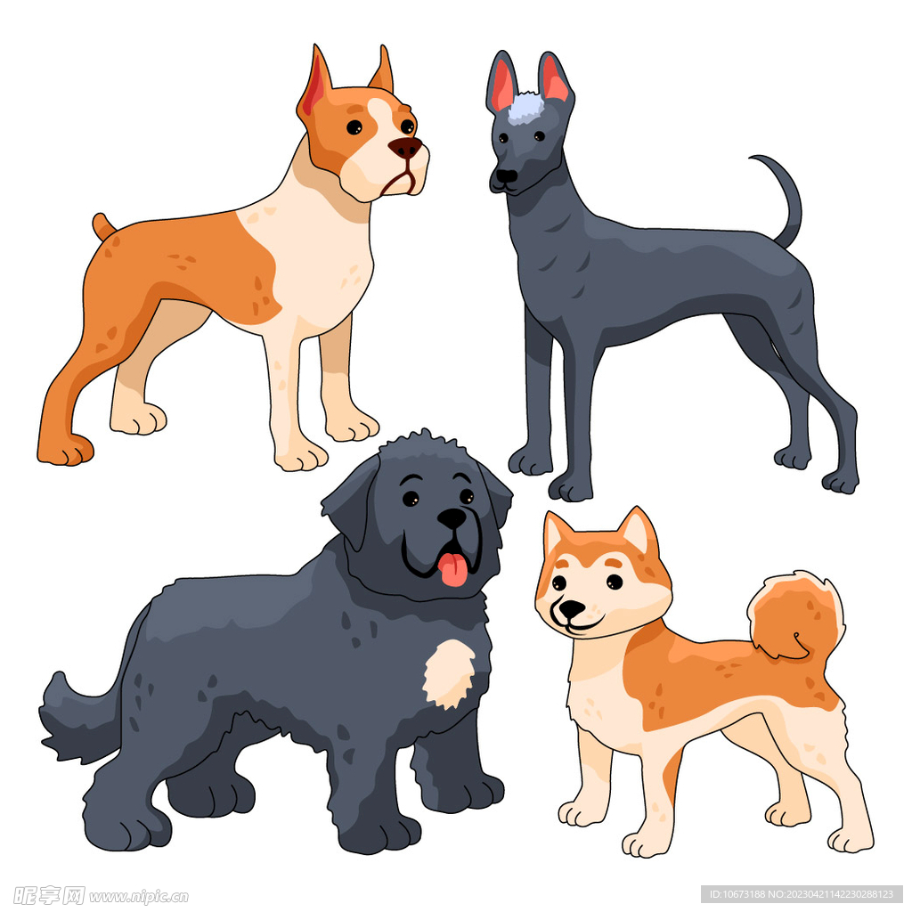 各种狗狗