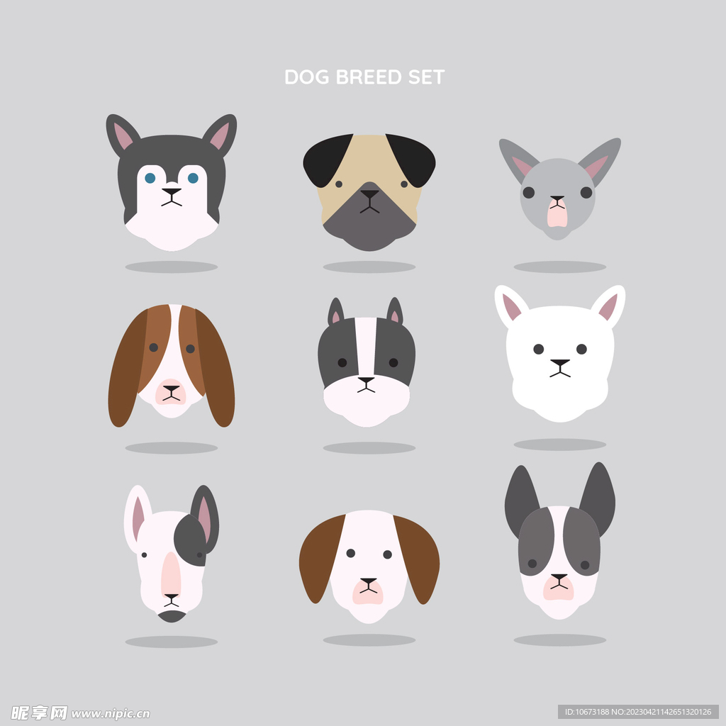 狗狗 