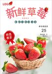 草莓