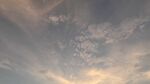 黄色的天空
