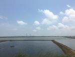 水东湾大桥远景