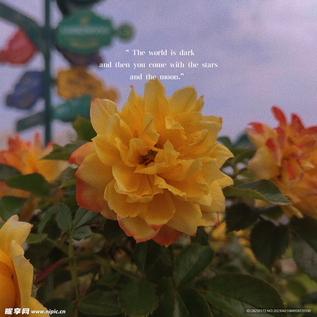 花