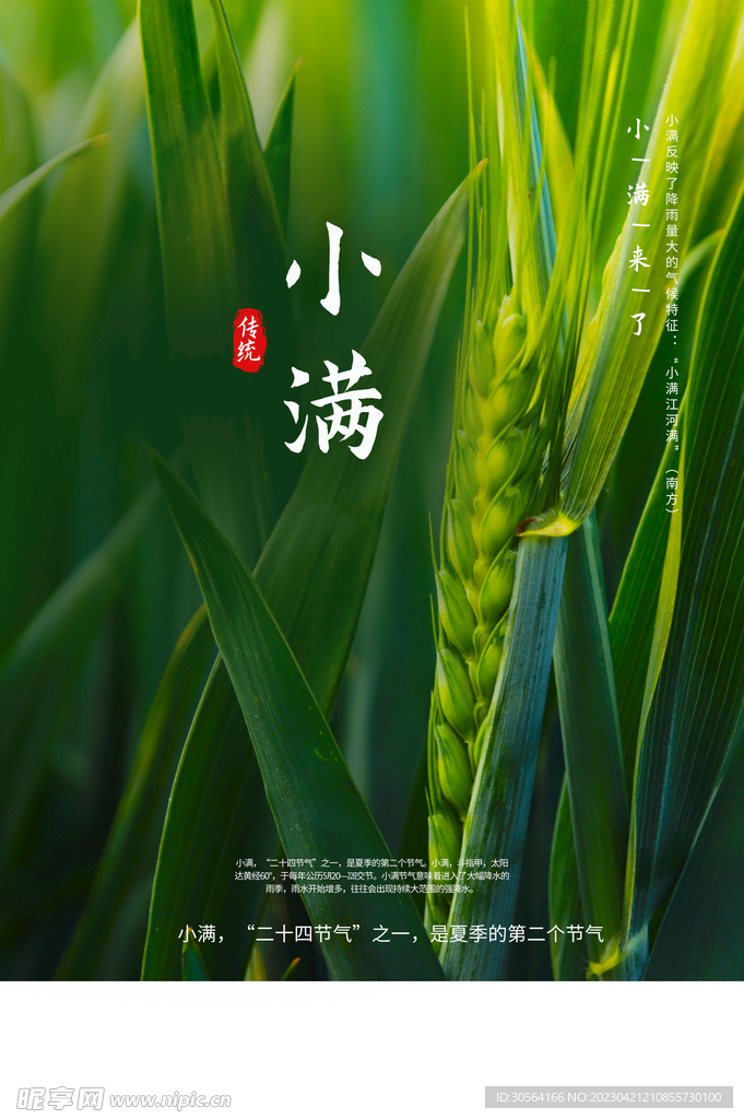 小满