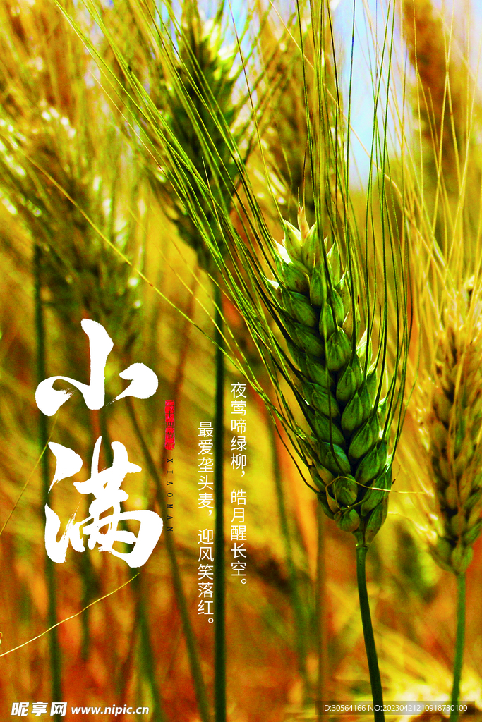 小满