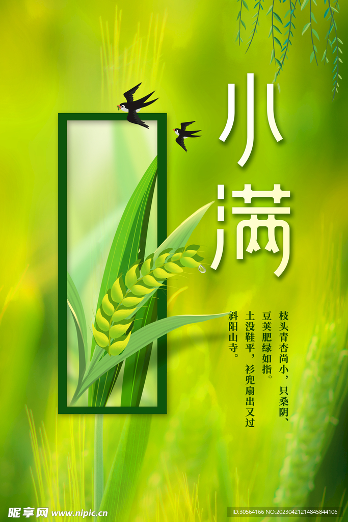 小满