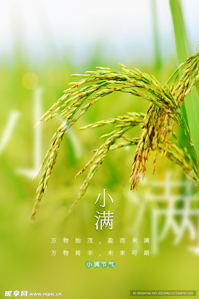 小满