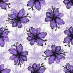 紫色花