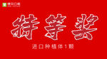 特等奖