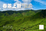 茶山