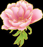 手绘花朵