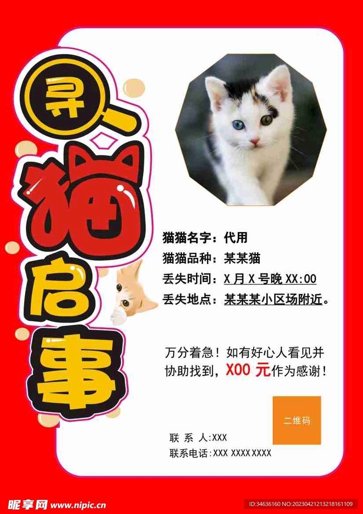 寻猫启事