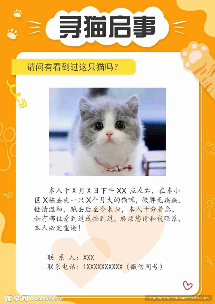 寻猫启示