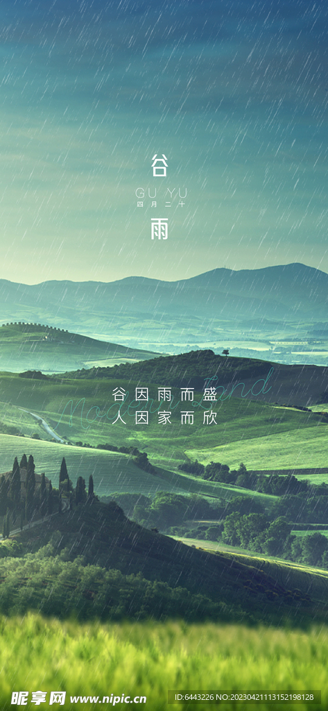谷雨节气海报设计