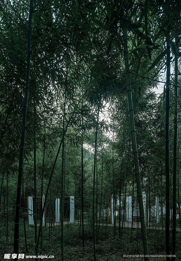 别墅洋房建筑 