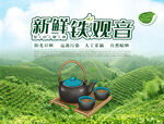 铁观音茶海报
