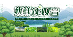 铁观音茶海报