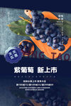 紫葡萄上市海报