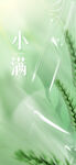小满