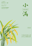 小满文字