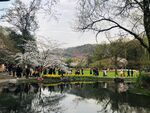 太子湾公园