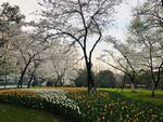 太子湾公园